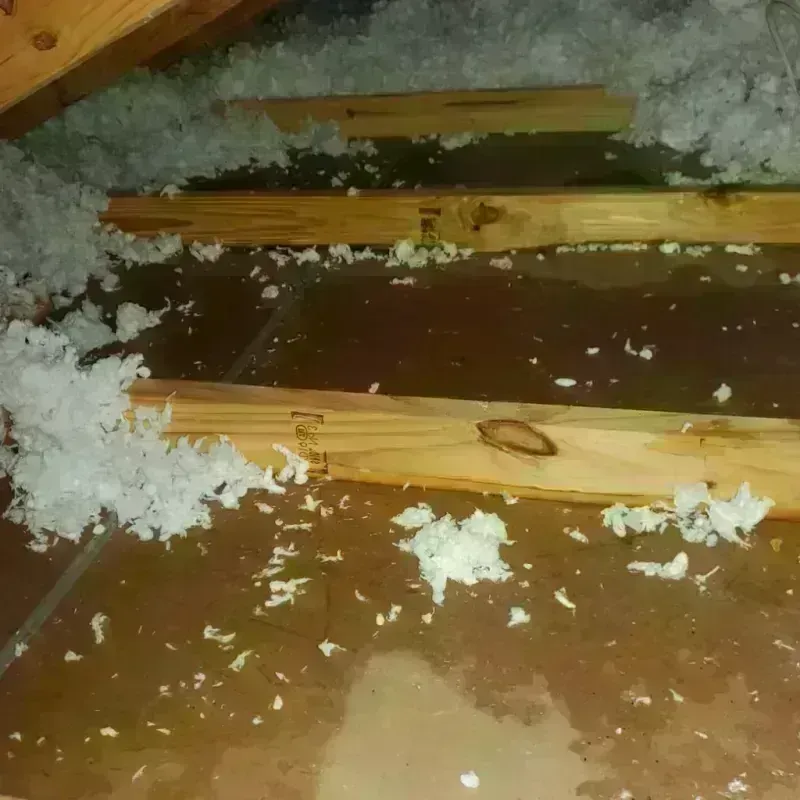 Attic Water Damage in Shelby County, OH