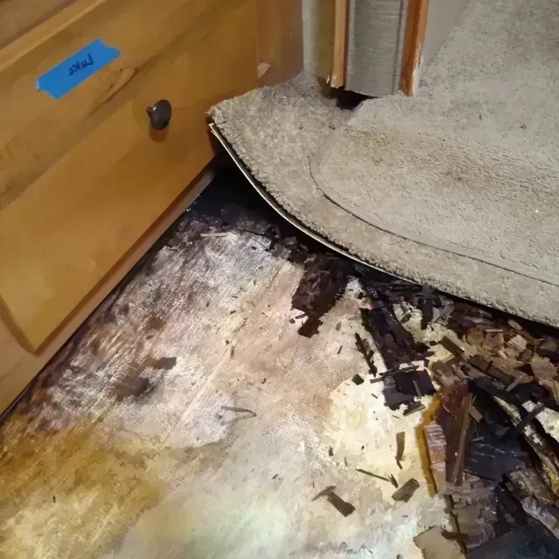 Wood Floor Water Damage in Shelby County, OH